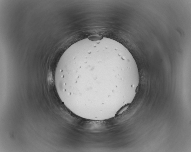 X0000111210089200907221159