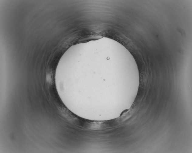 X0000111210090200907221159