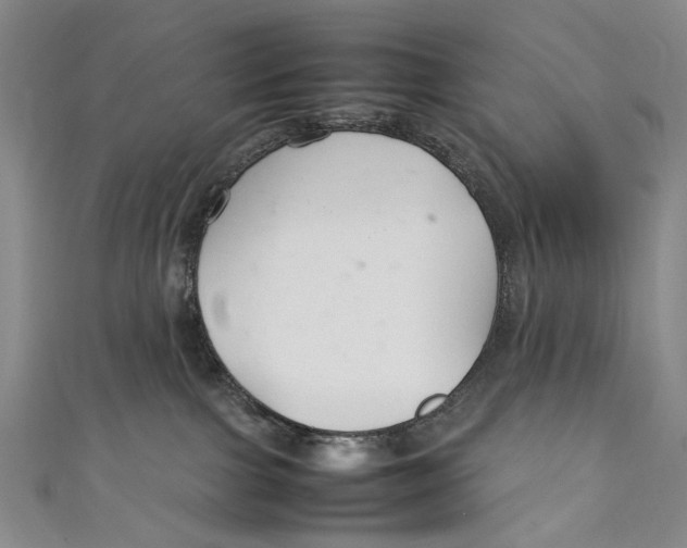 X0000111210091200907221159