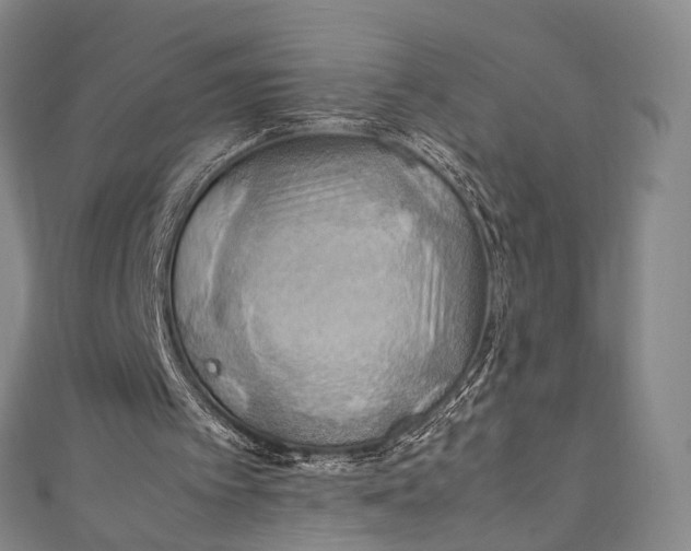 X0000111210097200907221159