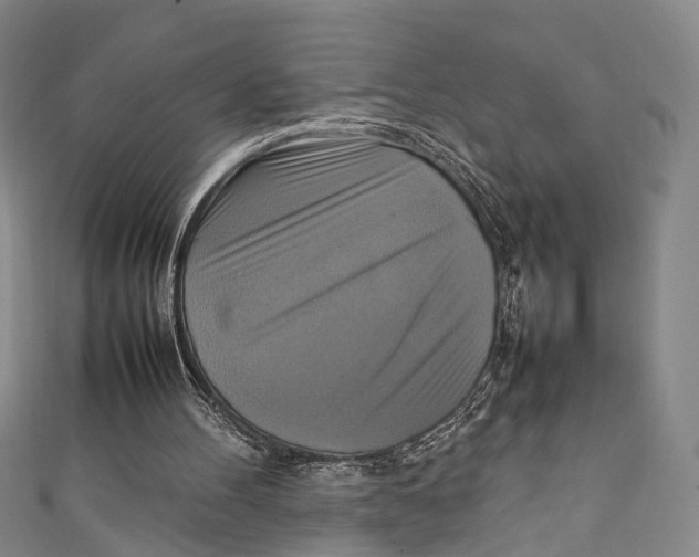 X0000111210100200907221159