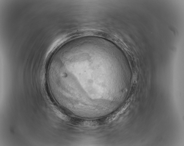 X0000111210101200907221159