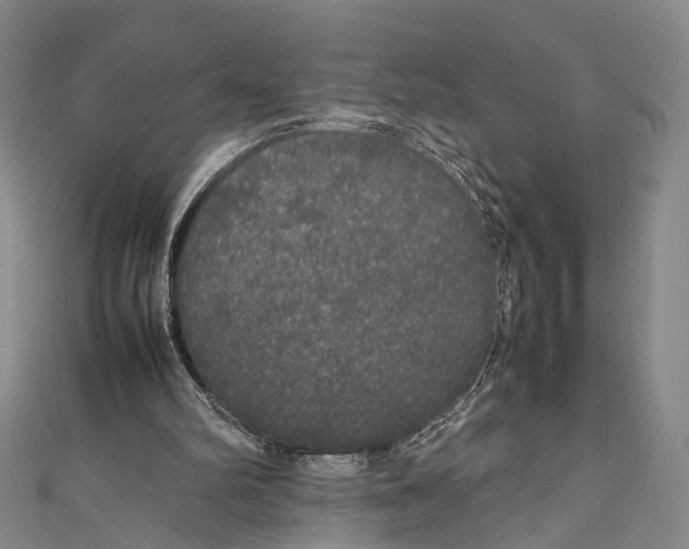 X0000111210102200907221159