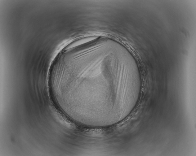 X0000111210104200907221159