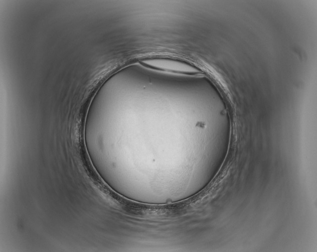 X0000111210105200907221159