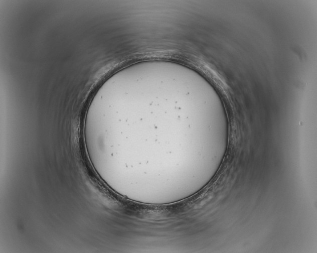 X0000111210107200907221159