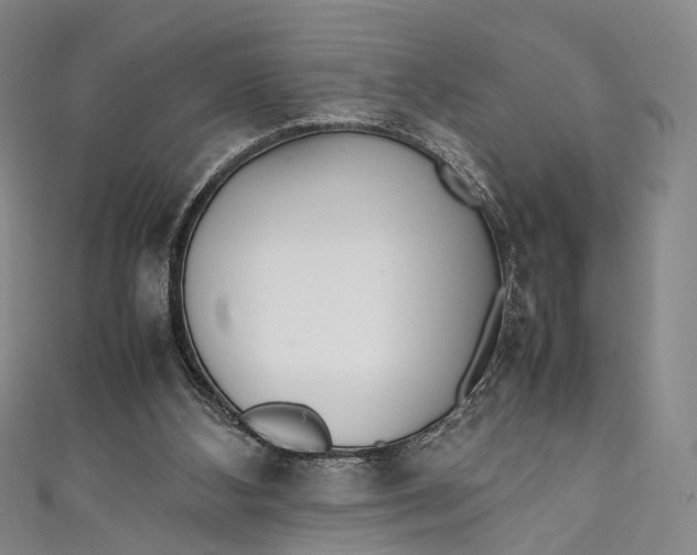 X0000111210108200907221159