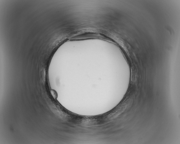 X0000111210109200907221159