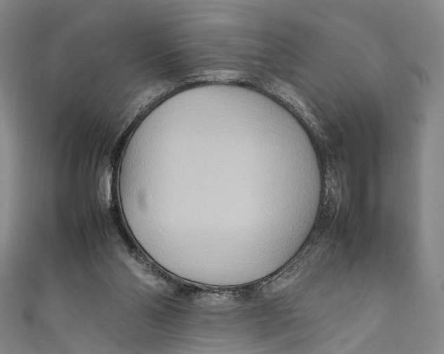 X0000111210110200907221159