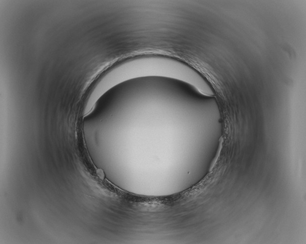 X0000111210112200907221159