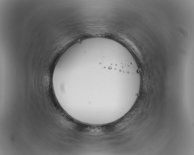 X0000111210113200907221159