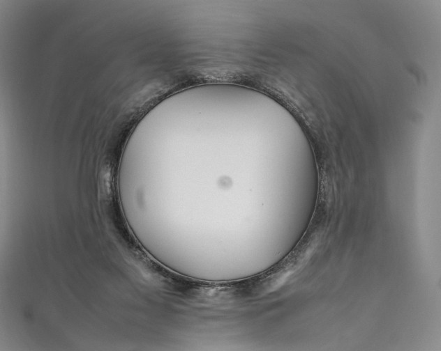 X0000111210117200907221159