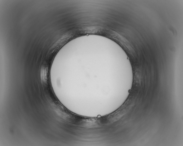 X0000111210118200907221159