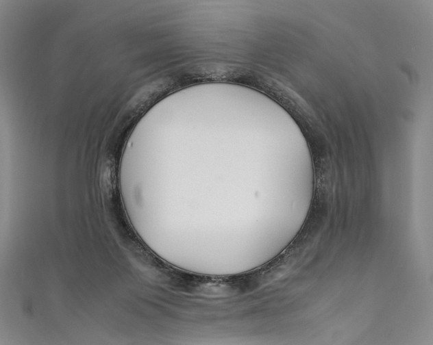 X0000111210119200907221159