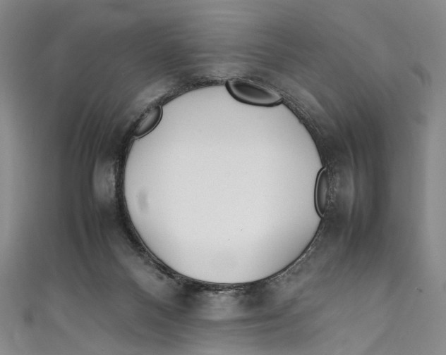 X0000111210120200907221159