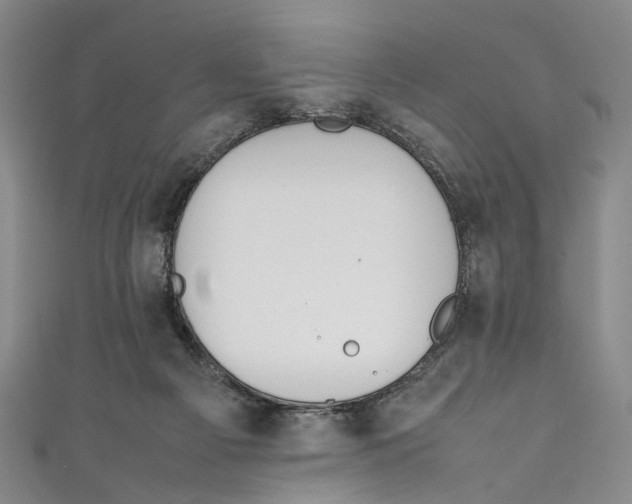 X0000111210121200907221159