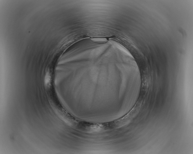 X0000111210124200907221159