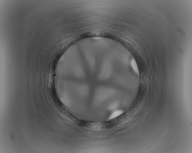 X0000111210127200907221159