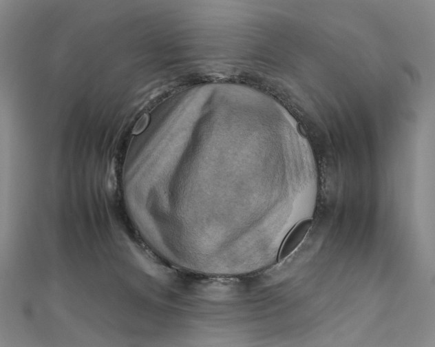 X0000111210128200907221159