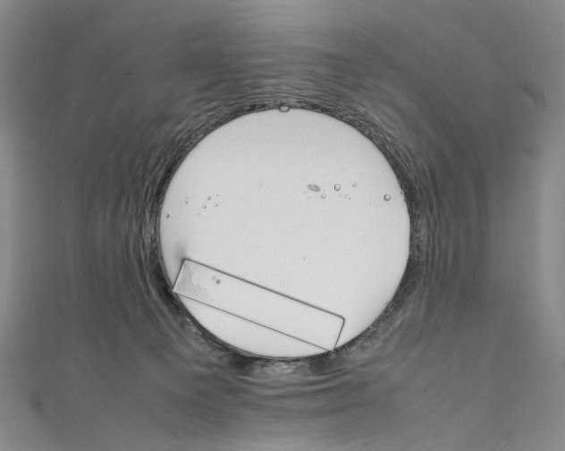 X0000111210129200907221159