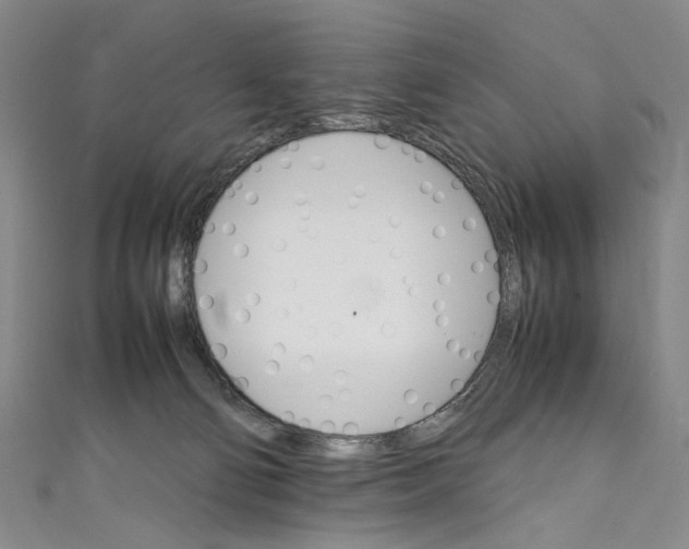 X0000111210130200907221158