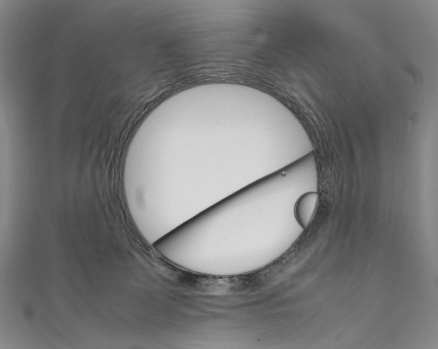 X0000111210131200907221158