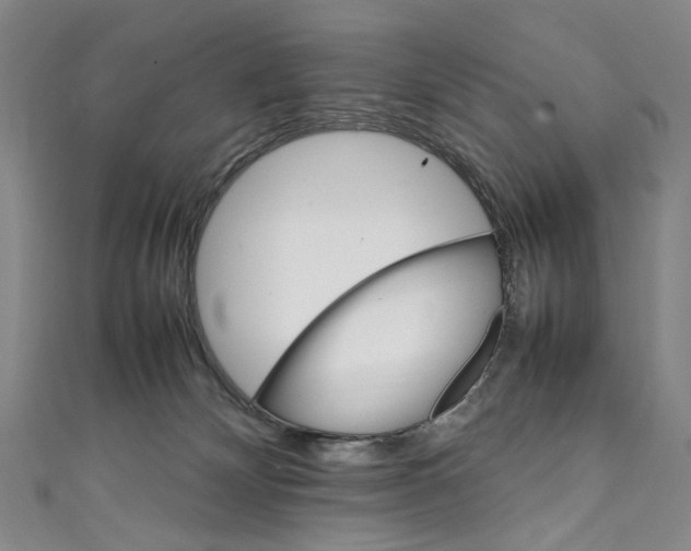 X0000111210132200907221158