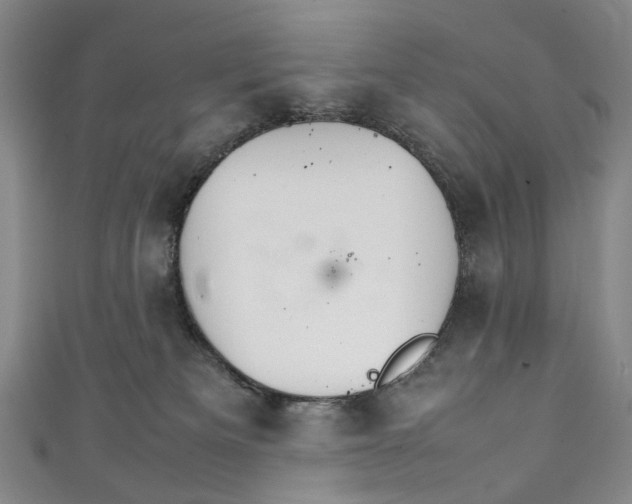 X0000111210133200907221158