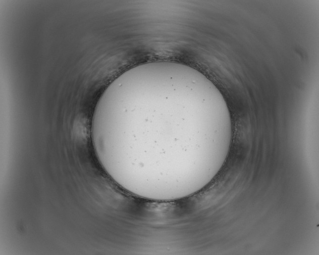 X0000111210135200907221158