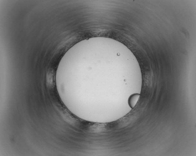 X0000111210138200907221158