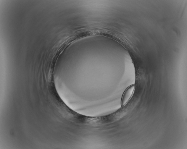 X0000111210139200907221158