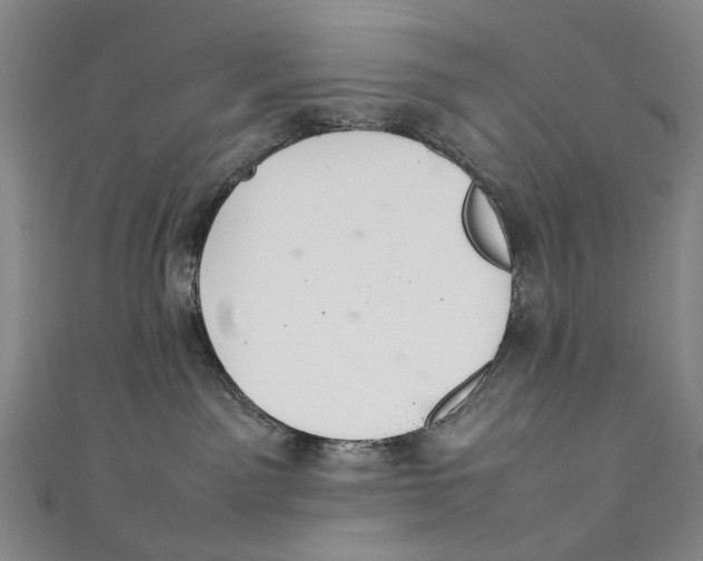 X0000111210141200907221158