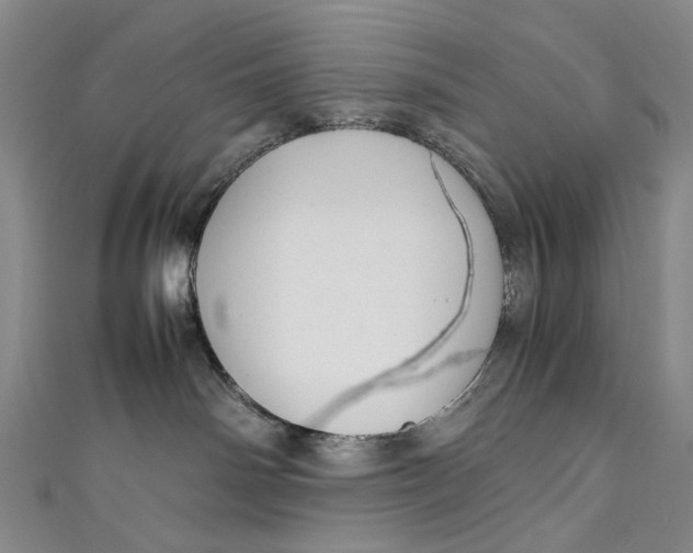 X0000111210142200907221158