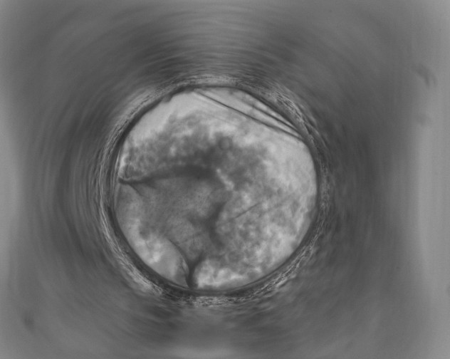 X0000111210145200907221158