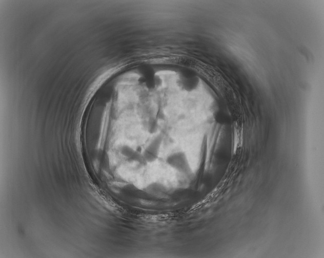 X0000111210147200907221158