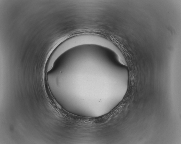 X0000111210148200907221158