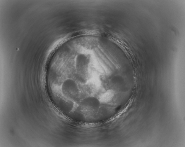 X0000111210149200907221158