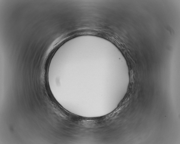 X0000111210150200907221158