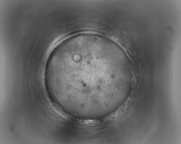 X0000111210151200907221158