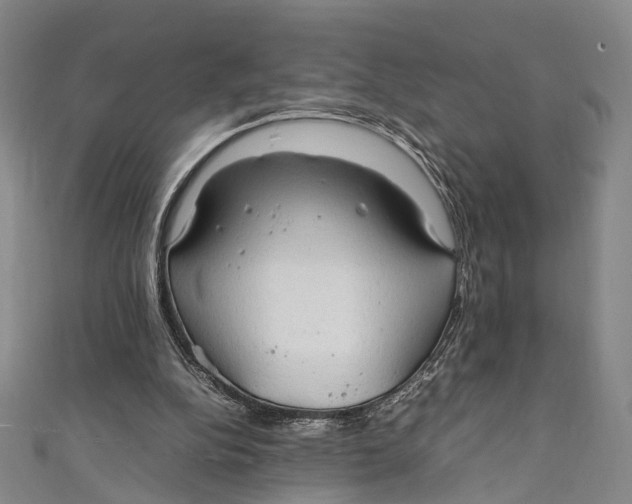 X0000111210152200907221158