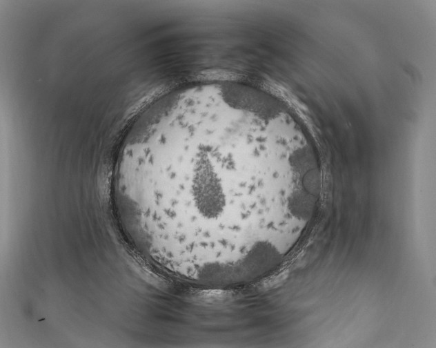 X0000111210153200907221158