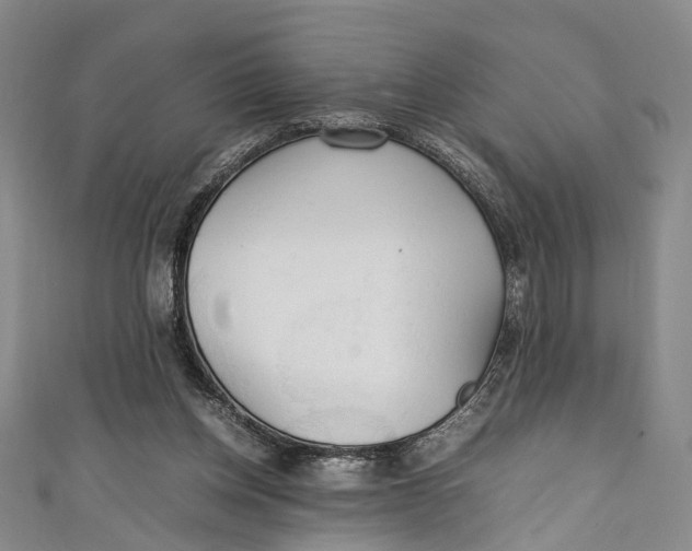 X0000111210158200907221158