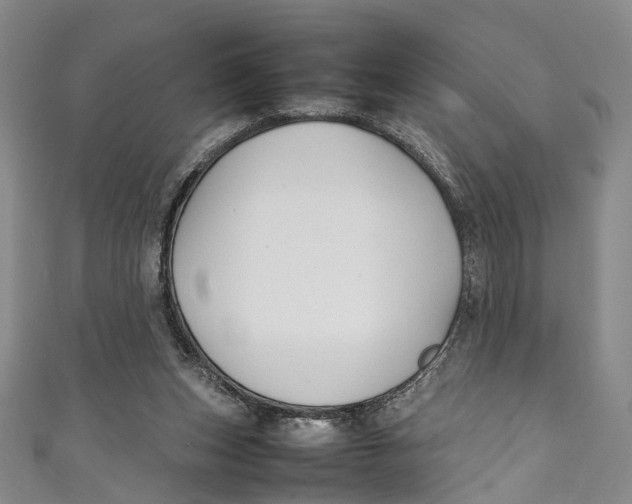 X0000111210159200907221158