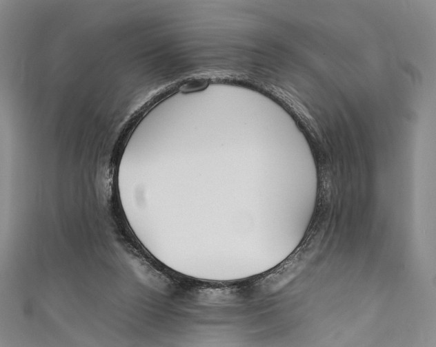 X0000111210160200907221158