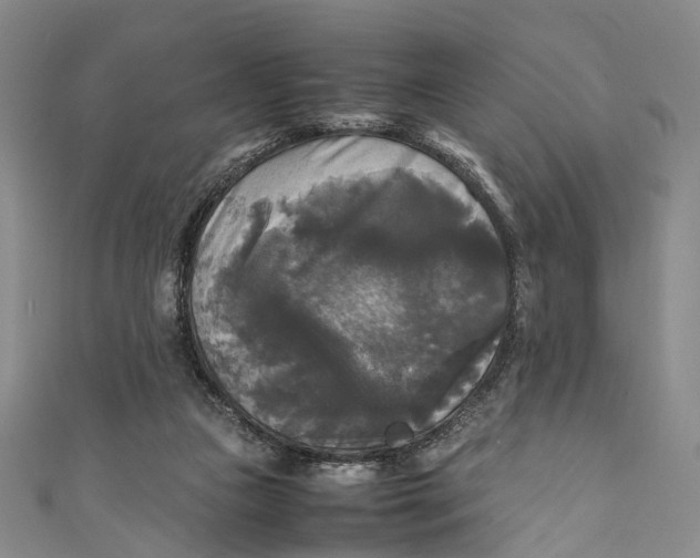 X0000111210161200907221158