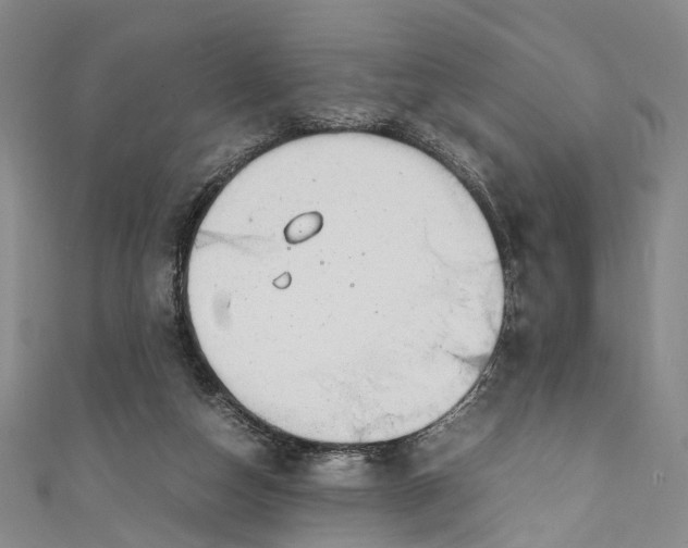 X0000111210162200907221158