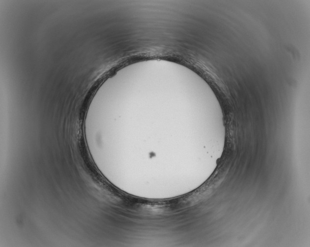 X0000111210164200907221158