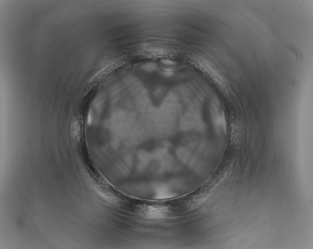 X0000111210165200907221158