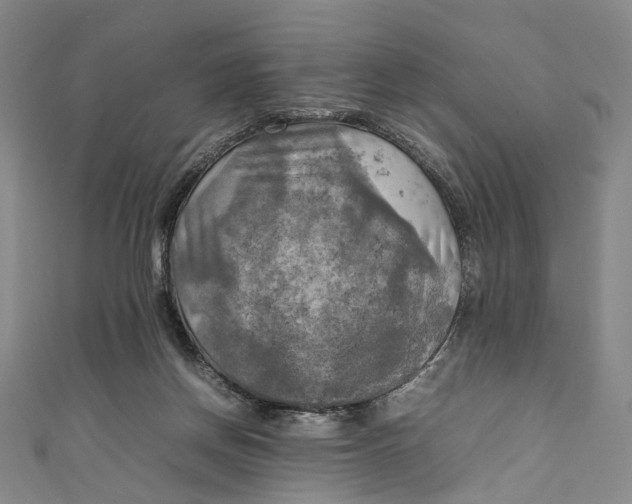 X0000111210166200907221158