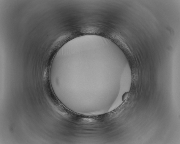 X0000111210167200907221158